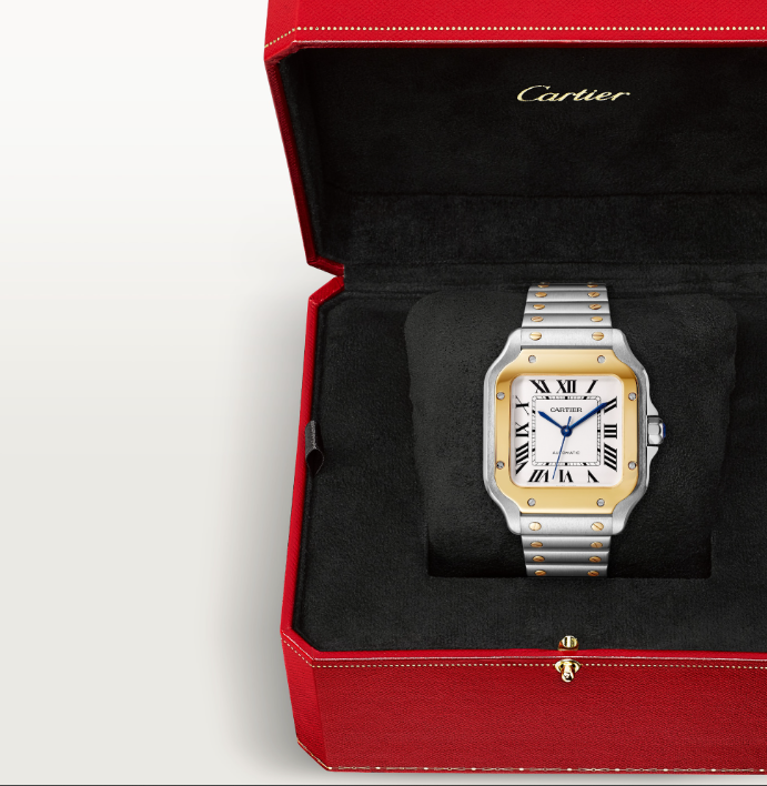 Santos de Cartier Watch – Steel and 18K Yellow Gold